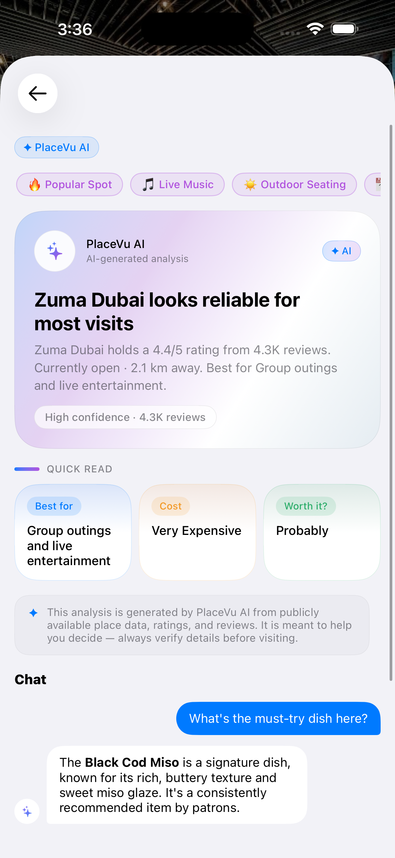 Placevu AI feature preview